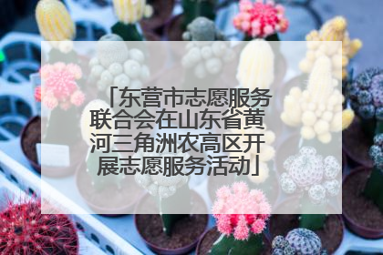 东营市志愿服务联合会在山东省黄河三角洲农高区开展志愿服务活动